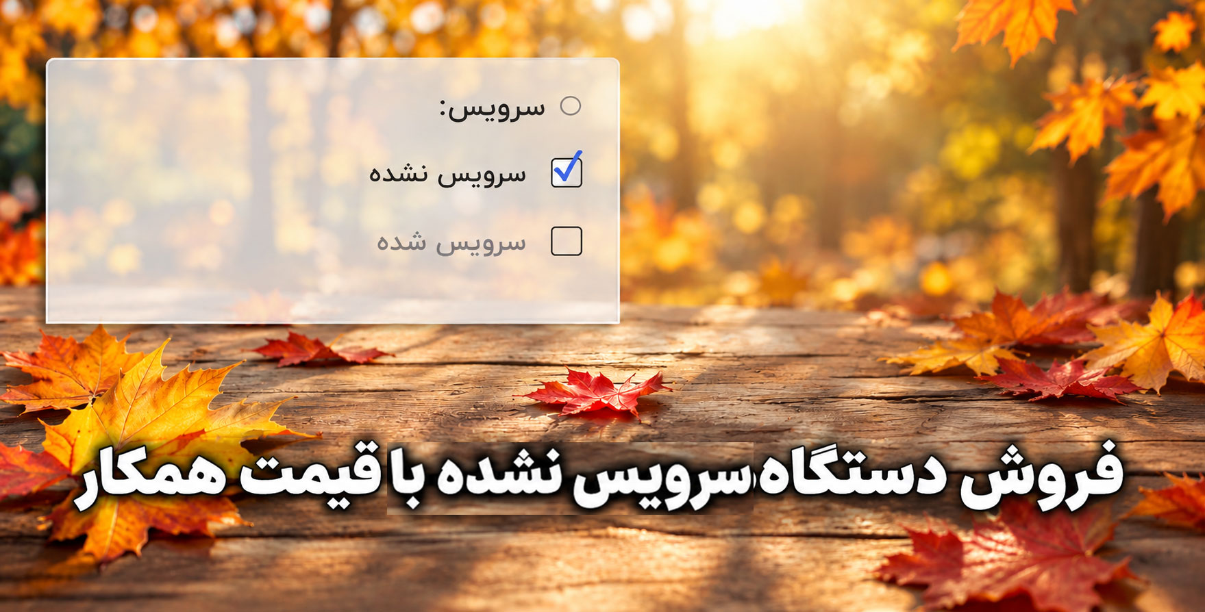 پاییزی1